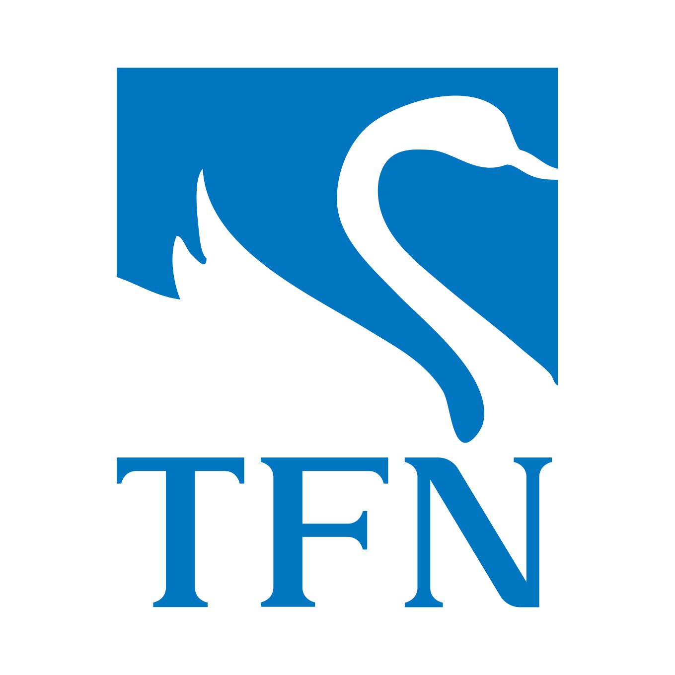 tfnγиؼ