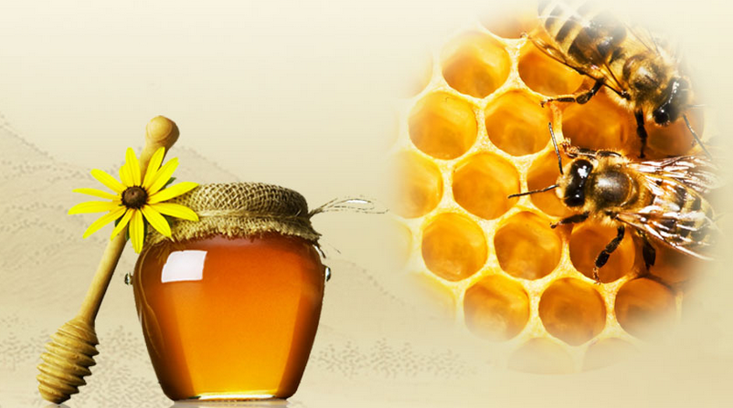 老蜂农蜂蜜加盟