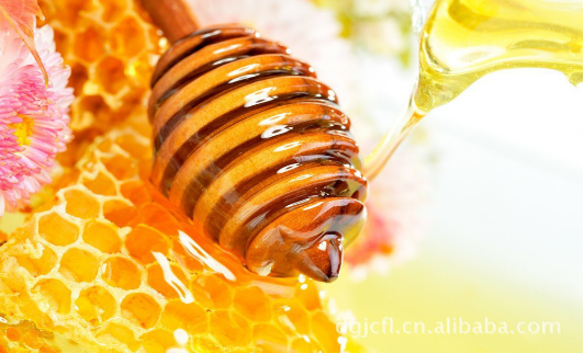 蜂蜜——春季养生好营养品