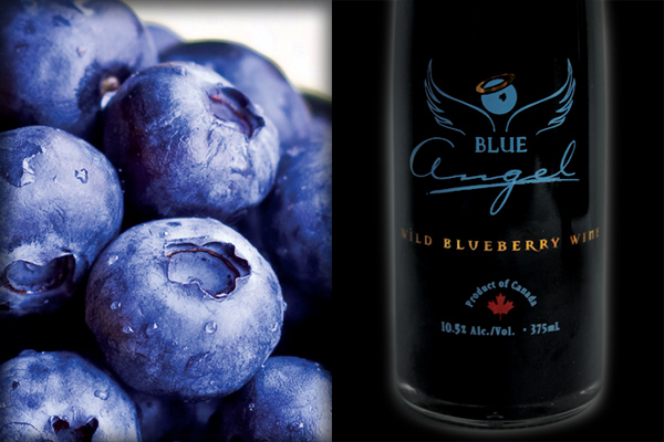 蓝莓酒加盟