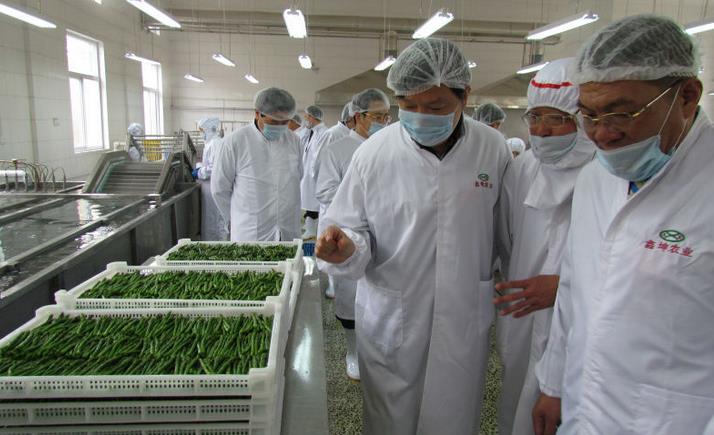 鑫坤农业蔬菜加盟