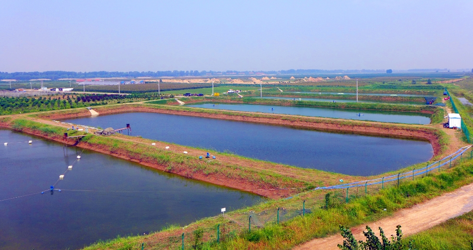黄河生态农业