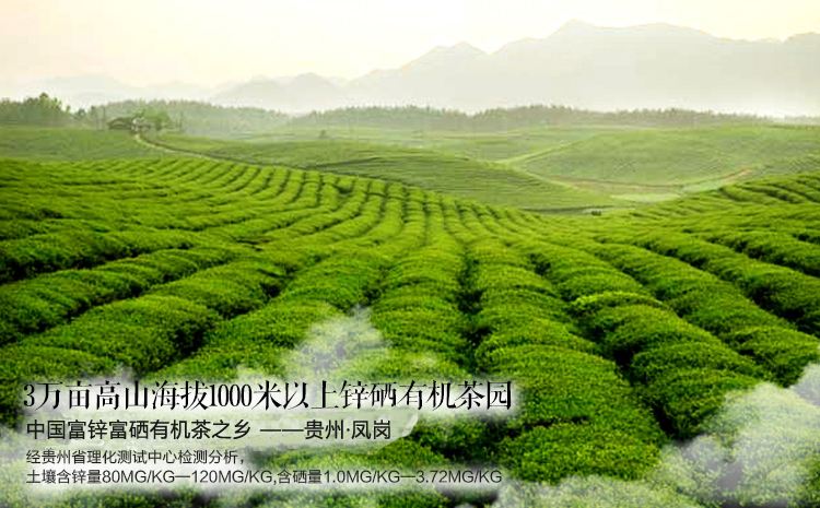 贵州寸心草茶叶加盟的条件