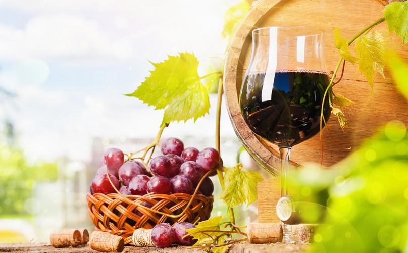 杜札克城堡葡萄酒业加盟