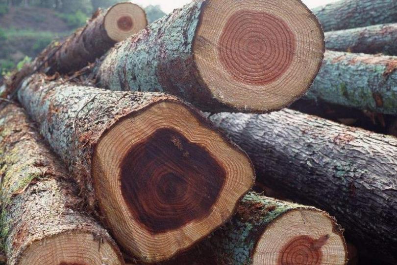 马来西亚荣耀木业有限公司加盟