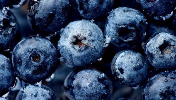 蓝莓野果汁白酒加盟