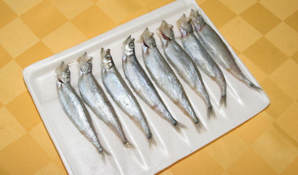 长江刀鱼多少钱一斤 长江刀鱼好吃吗？