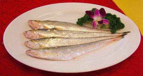 长江刀鱼多少钱一斤