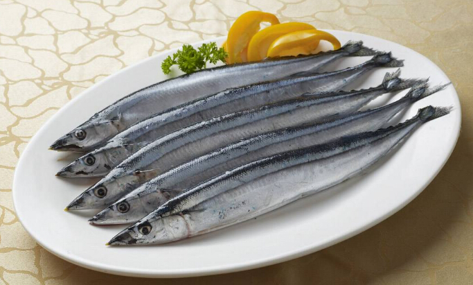 刀鱼可以人工养殖吗 长江刀鱼有什么营养？
