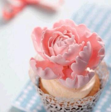 玫瑰花纸杯蛋糕