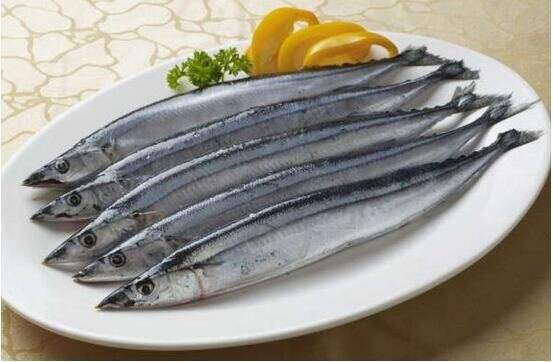 长江刀鱼为什么那么贵 刀鱼可以人工养殖吗？