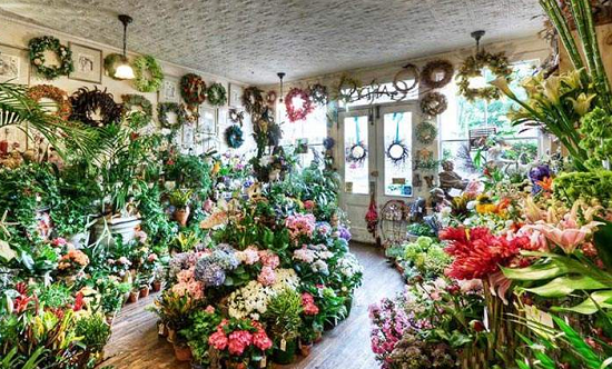 想自己开家鲜花店怎么样 卖的很好的花卉是哪种？