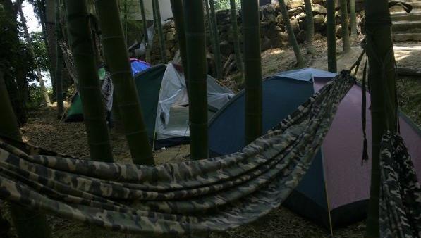 竹林农家乐露营帐篷