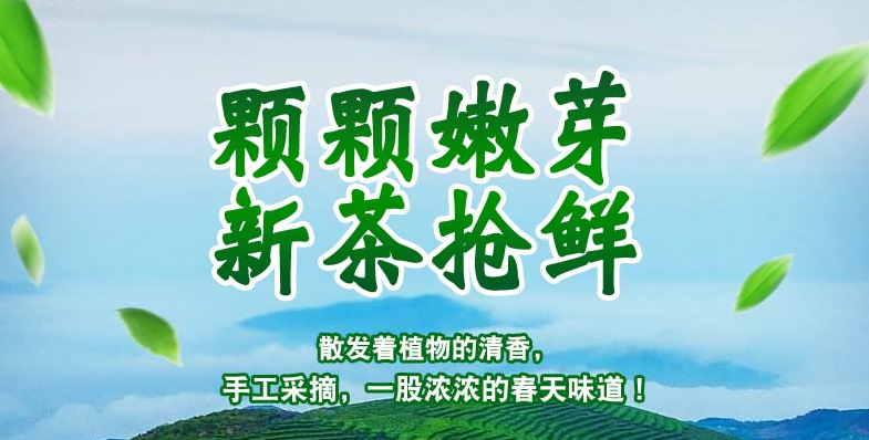 洞庭山碧螺春加盟