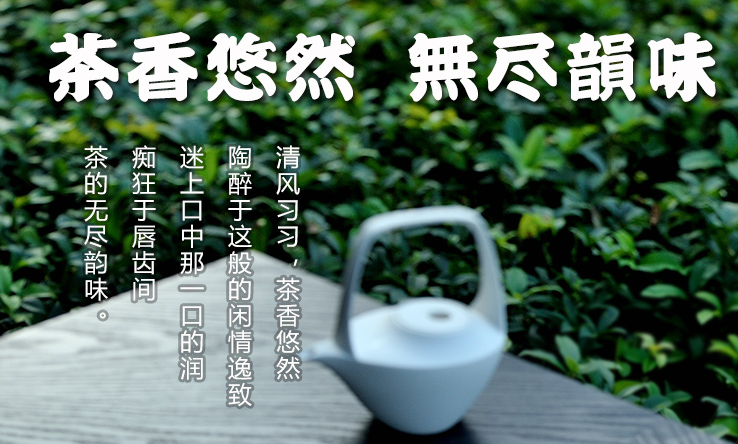 安溪茶加盟