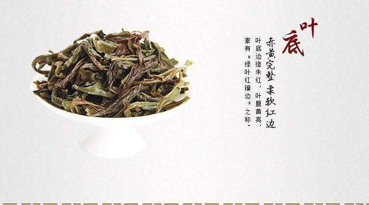 凤凰单枞茶叶加盟