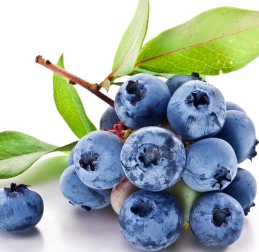 辉南县共赢蓝莓种植专业合作社