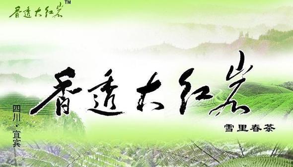 高县金地茶厂宣传海报