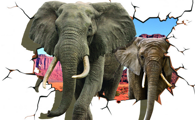 3D意造大象