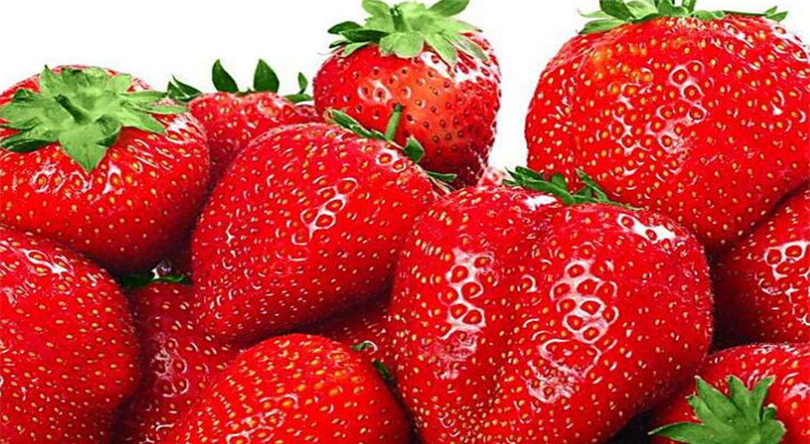 丹东市圣野浆果专业合作社草莓