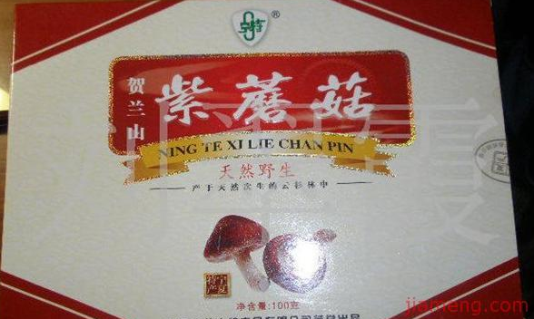 刘翠霞快餐贺兰山紫蘑菇