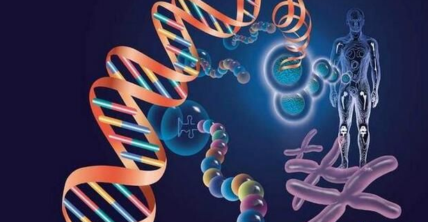 博宁洛克生物基因加盟海报