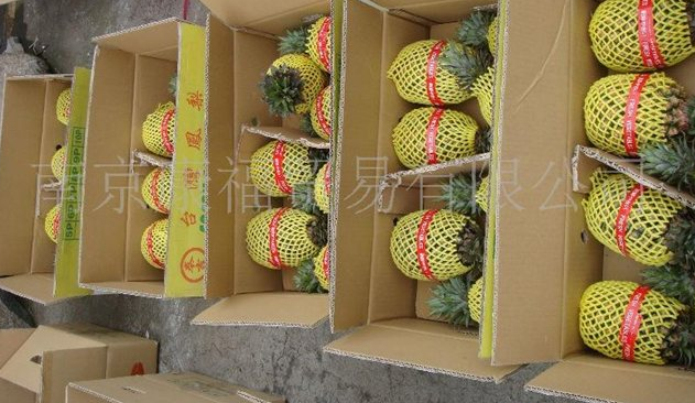 康福实业台湾水果、新鲜水果
