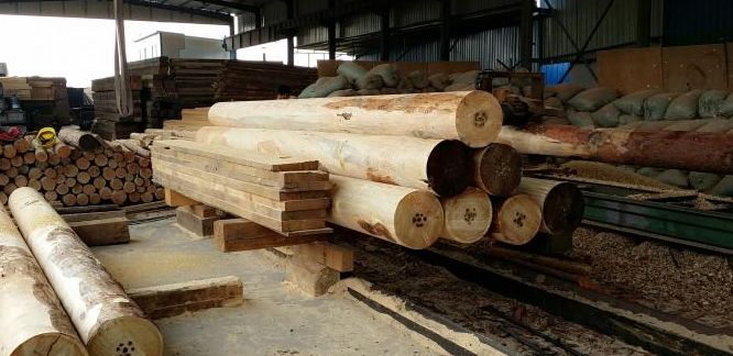 木材加工厂要什么手续