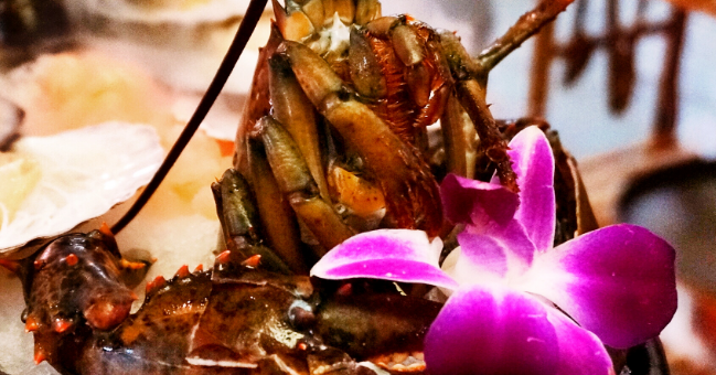 阿发海鲜餐厅龙虾
