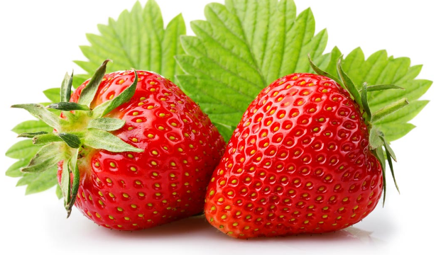 百果百味草莓