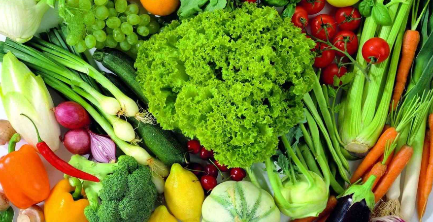 争取降低成本蔬菜行加盟
