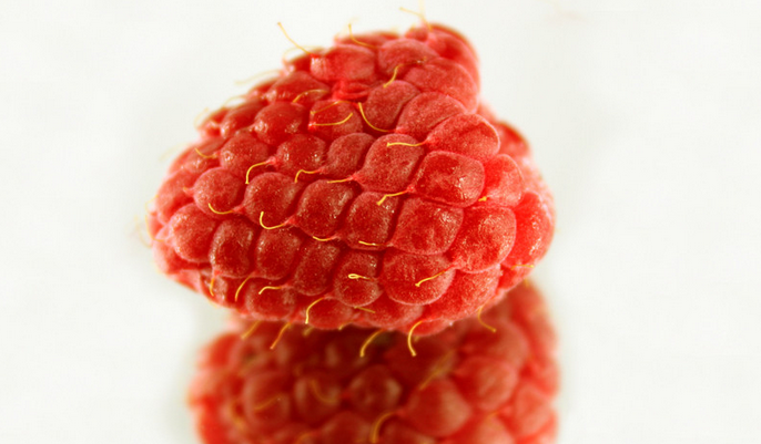 百果珠江园树莓