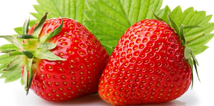 爱家都市果园新鲜草莓