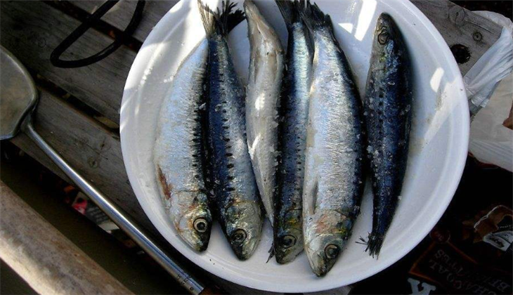 珍珠岛水产品刀鱼