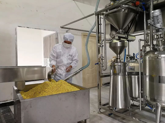 布兰奇全智能蒸汽能机助力豆制品厂：每天800kg黄豆制成豆制品