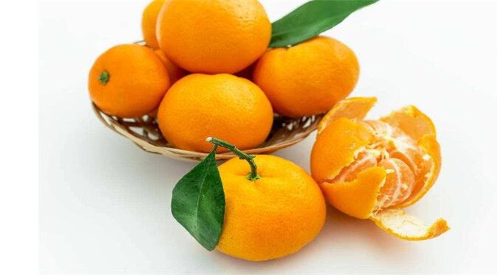 鲜果会橘子