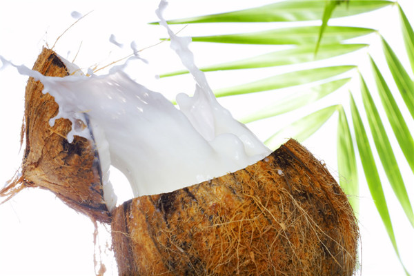 椰树椰汁在市场中备受消费者欢迎