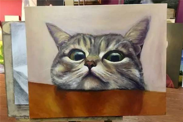 画立方儿童美术猫