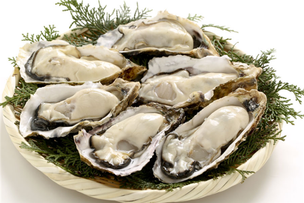  Southern Aquatic Product Oyster