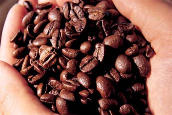 欧尚雅迪咖啡豆