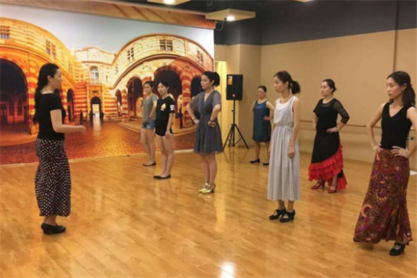 哈妮国际舞蹈培训加盟