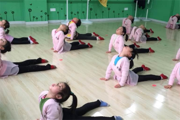 艺杨舞蹈培训学习