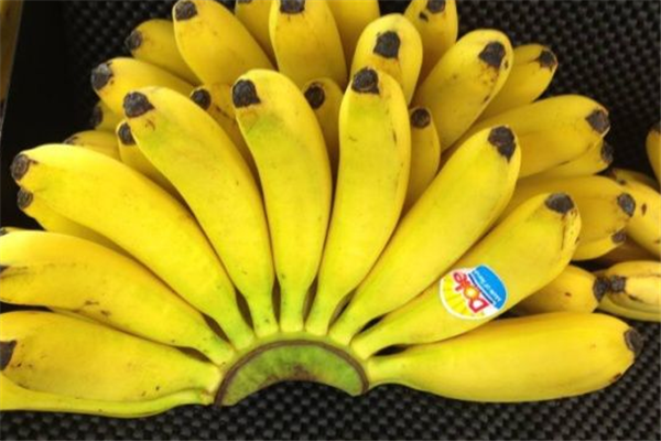 金盛香蕉水果