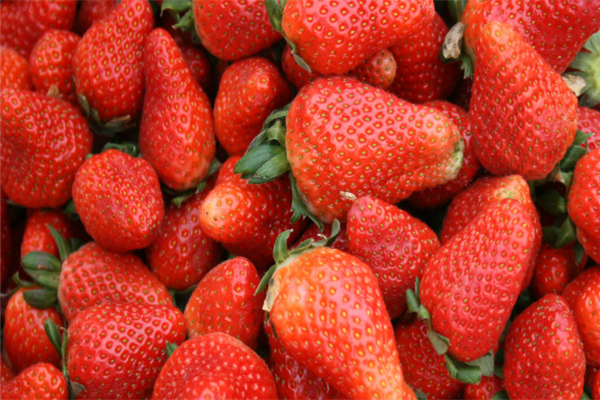 河滩镇草莓水果