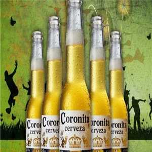 coronita啤酒加盟费