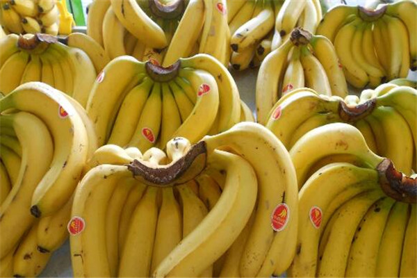 百家欣水果香蕉