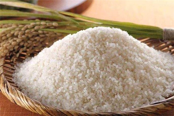 五常米业水稻