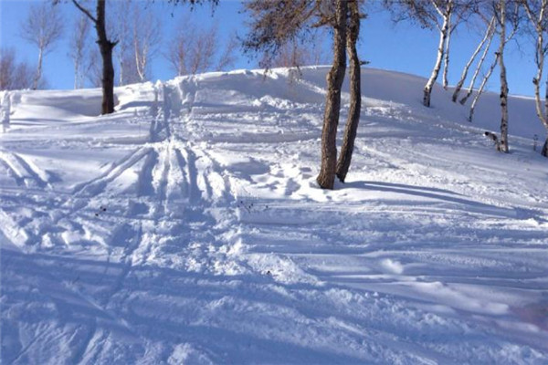 雪世界滑雪场环境