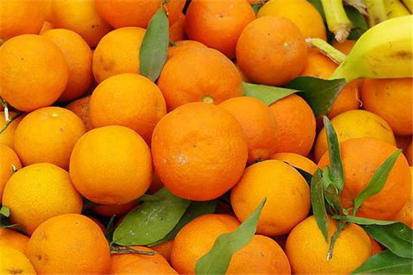 果果鲜生橙子