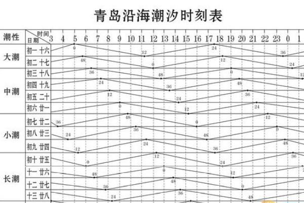 全球潮汐加盟